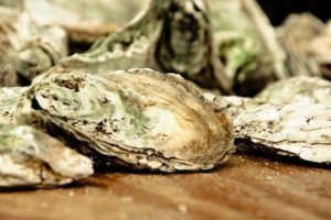 Eastern Shore Eateries Oysters
