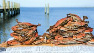 Ocean Odyssey Fresh Crabs
