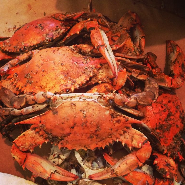 Blog Steamed Crabs MD Eastern Shore Seafood Restaurant